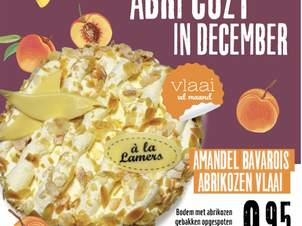 Maandvlaaitje December Amandel Abrikoos